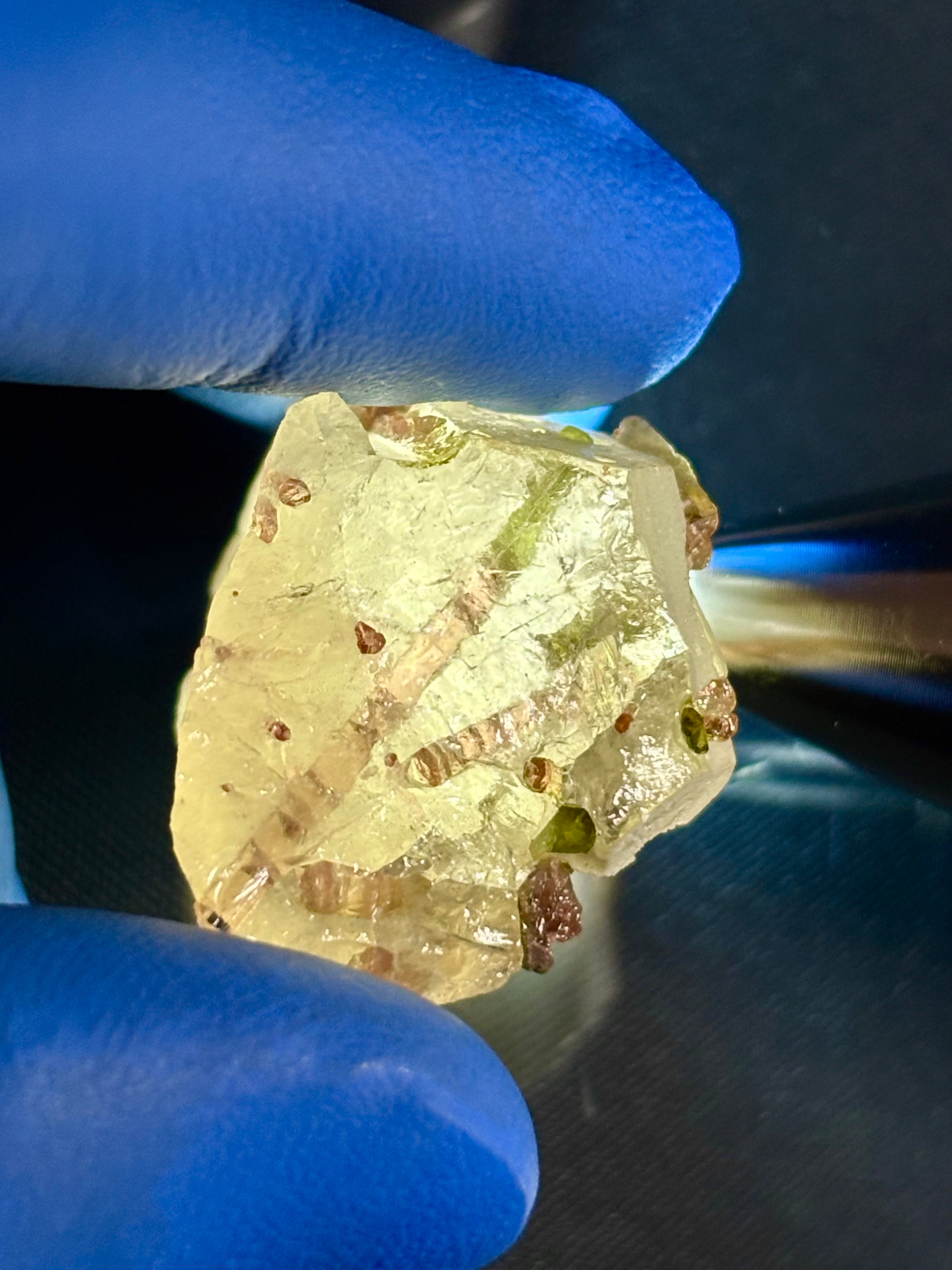 Gemmy Bicolour Tourmaline In Quartz, Cruziero Mine, Minas Gerais, Brazil 24g