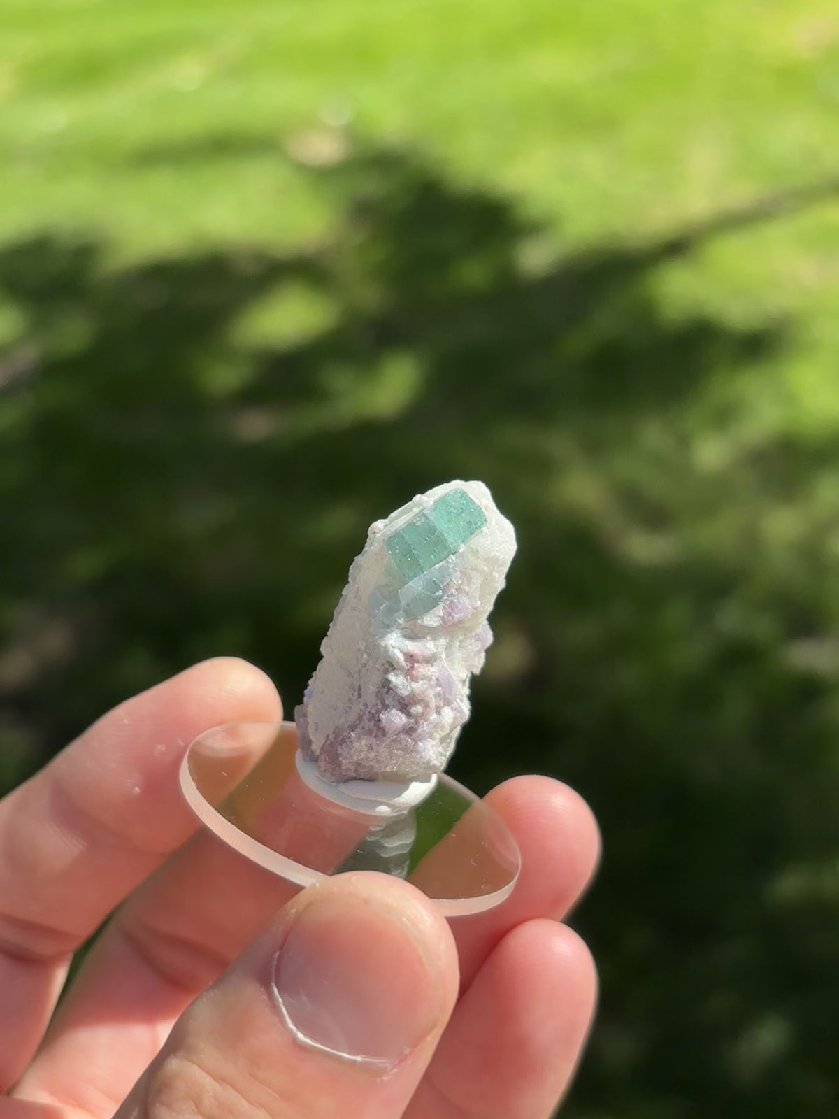Tourmaline and Lepidolite on Quartz point, 17g
