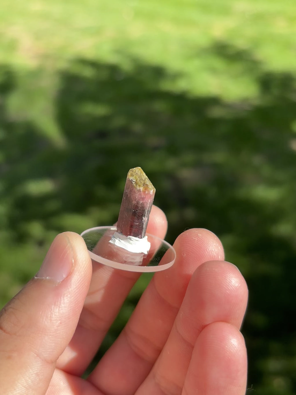Bicolor Tourmaline Point 4g